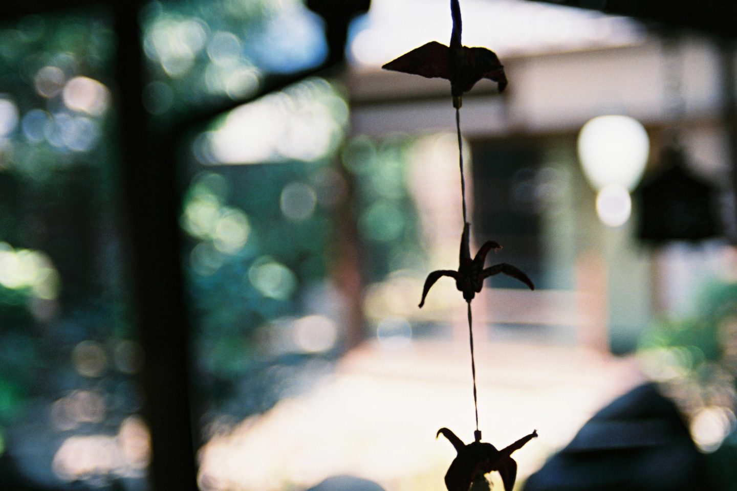 Nikon New FM2 / 奈良町 -Nara machi-