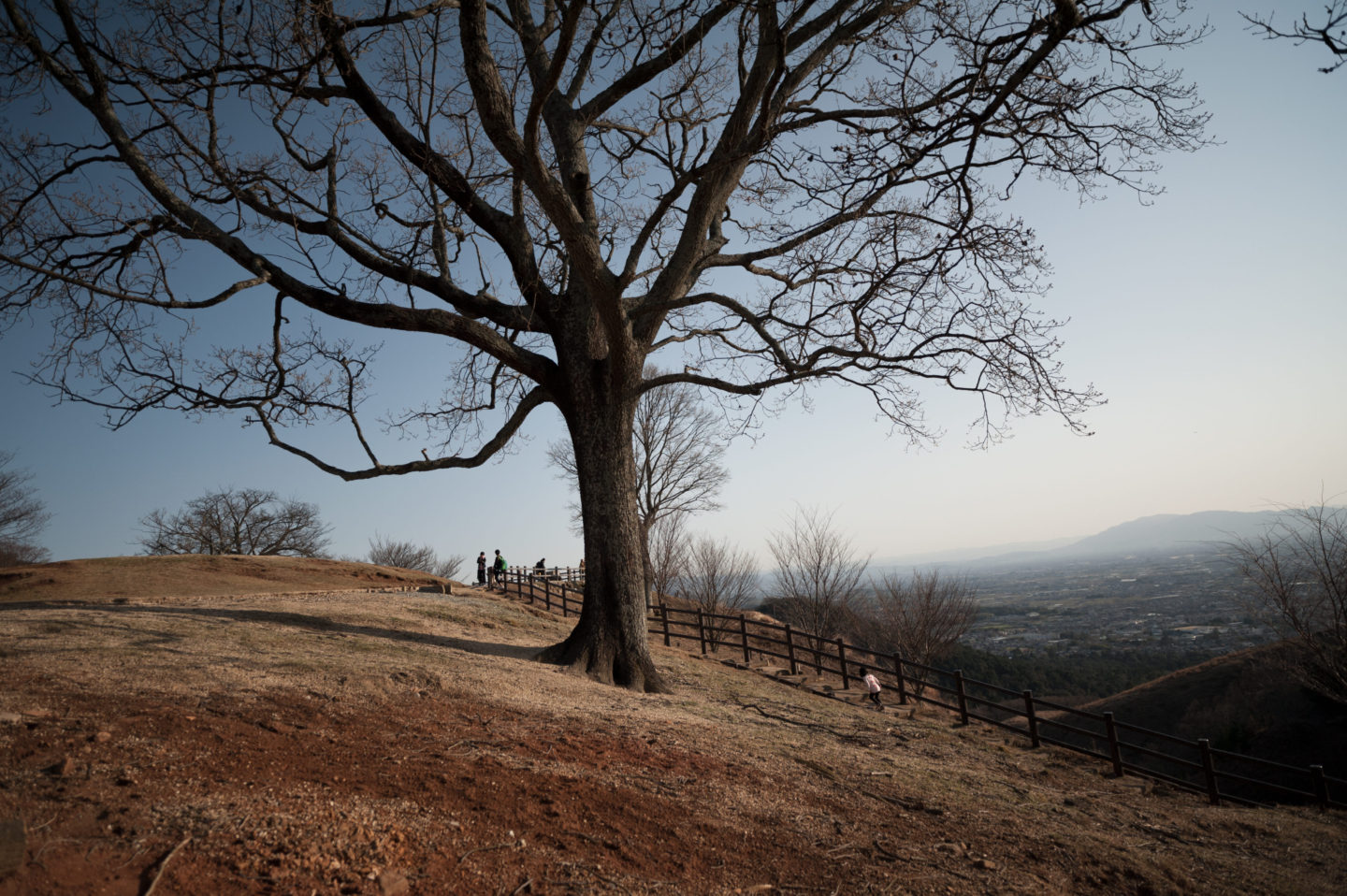 奈良 若草山 -Nara Mt-wakakusa-