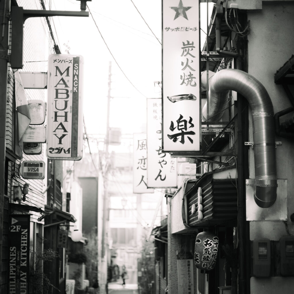 Nara Nostalgia: An Alleyway in the Old Town