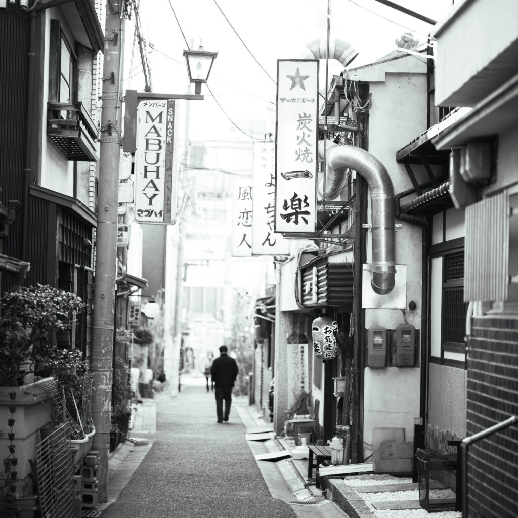 Shadows of Naramachi: A Timeless Japanese Streetscape