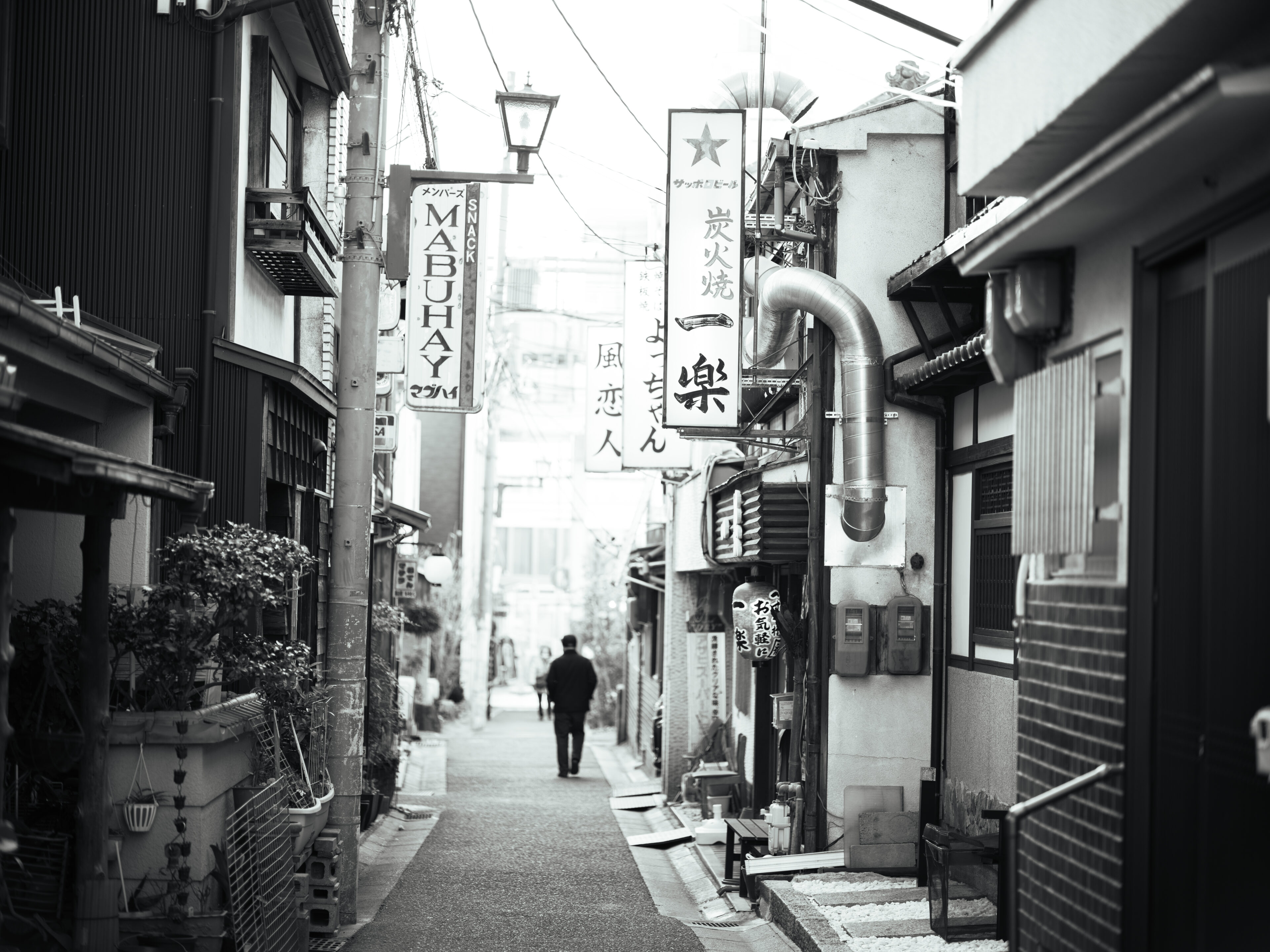 Shadows of Naramachi: A Timeless Japanese Streetscape