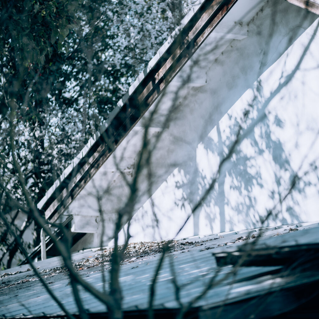 Sunlight Filtering Through Leaves: A House in Naramachi