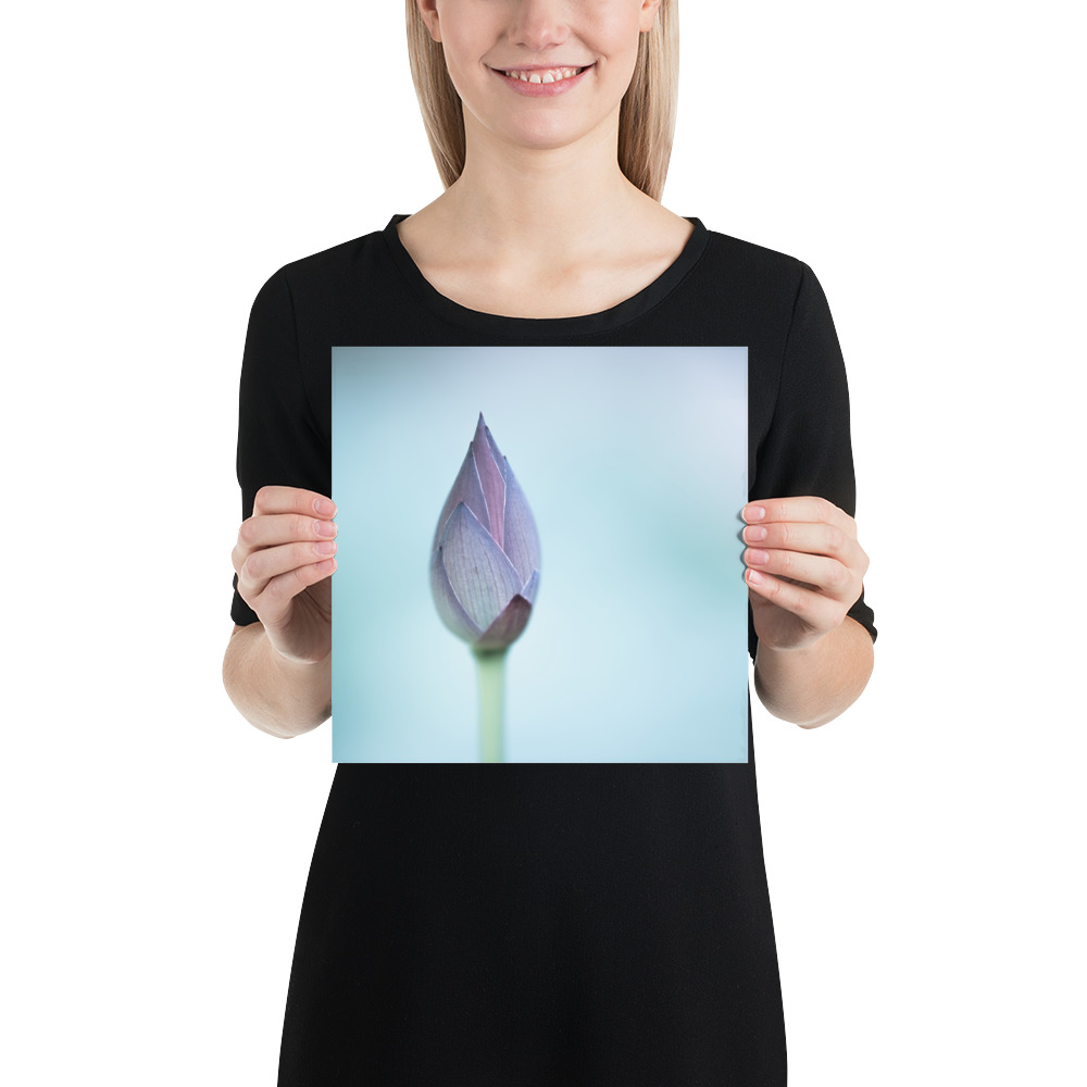 Lotus Bud: Serenity in Blue - 画像 (3)