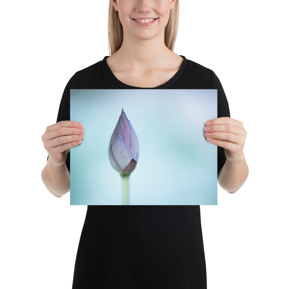 Lotus Bud: Serenity in Blue - 画像 (4)