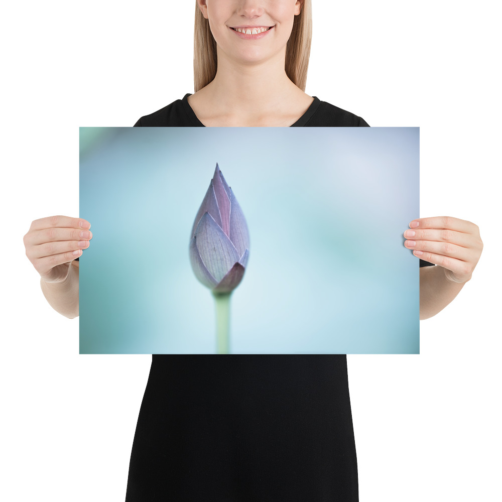 Lotus Bud: Serenity in Blue - 画像 (7)