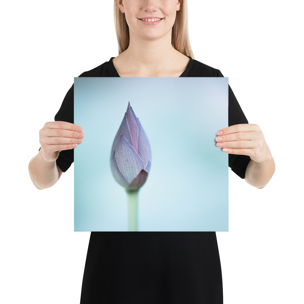 Lotus Bud: Serenity in Blue - 画像 (8)