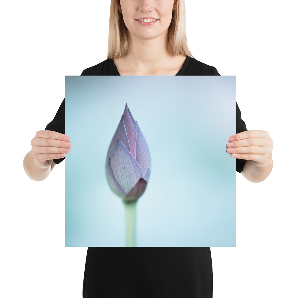 Lotus Bud: Serenity in Blue - 画像 (9)