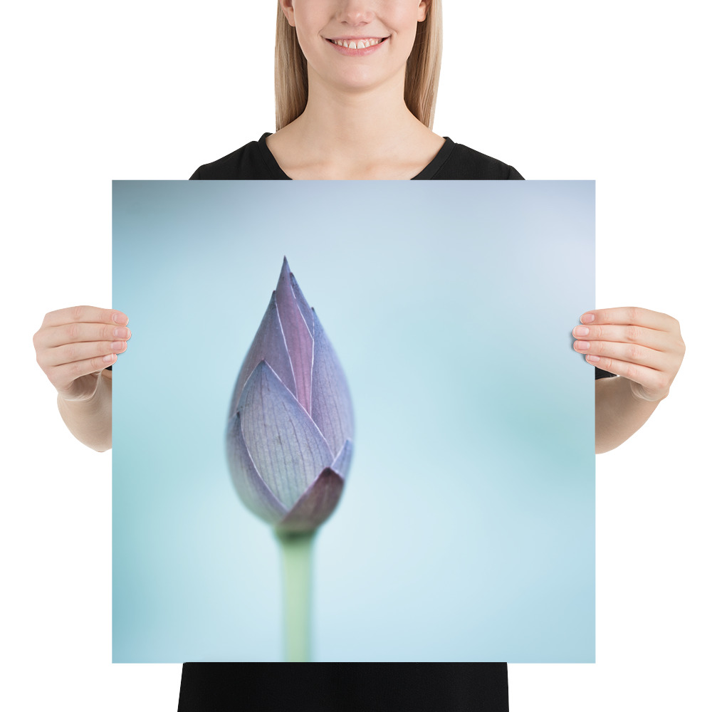 Lotus Bud: Serenity in Blue - 画像 (11)
