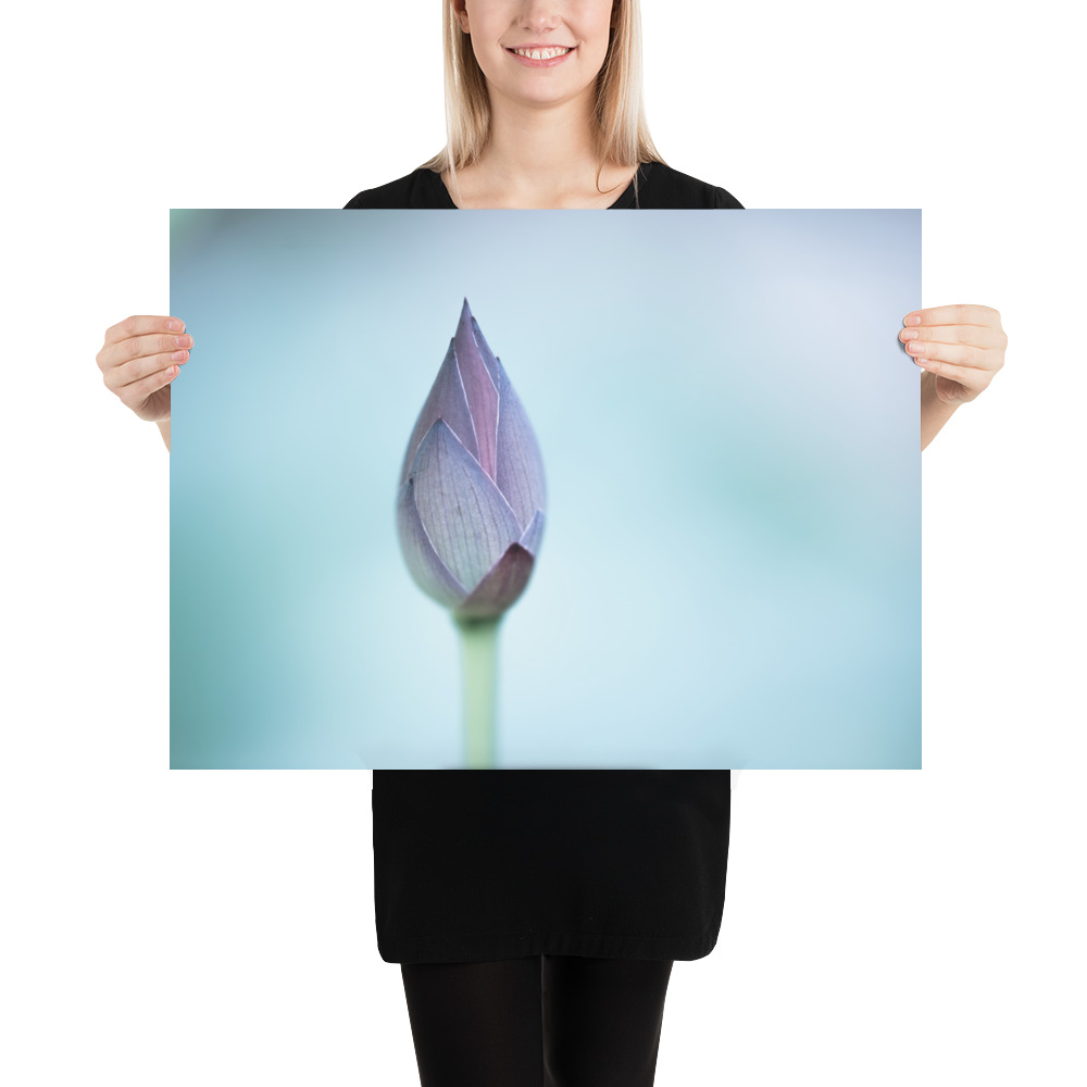 Lotus Bud: Serenity in Blue - 画像 (12)