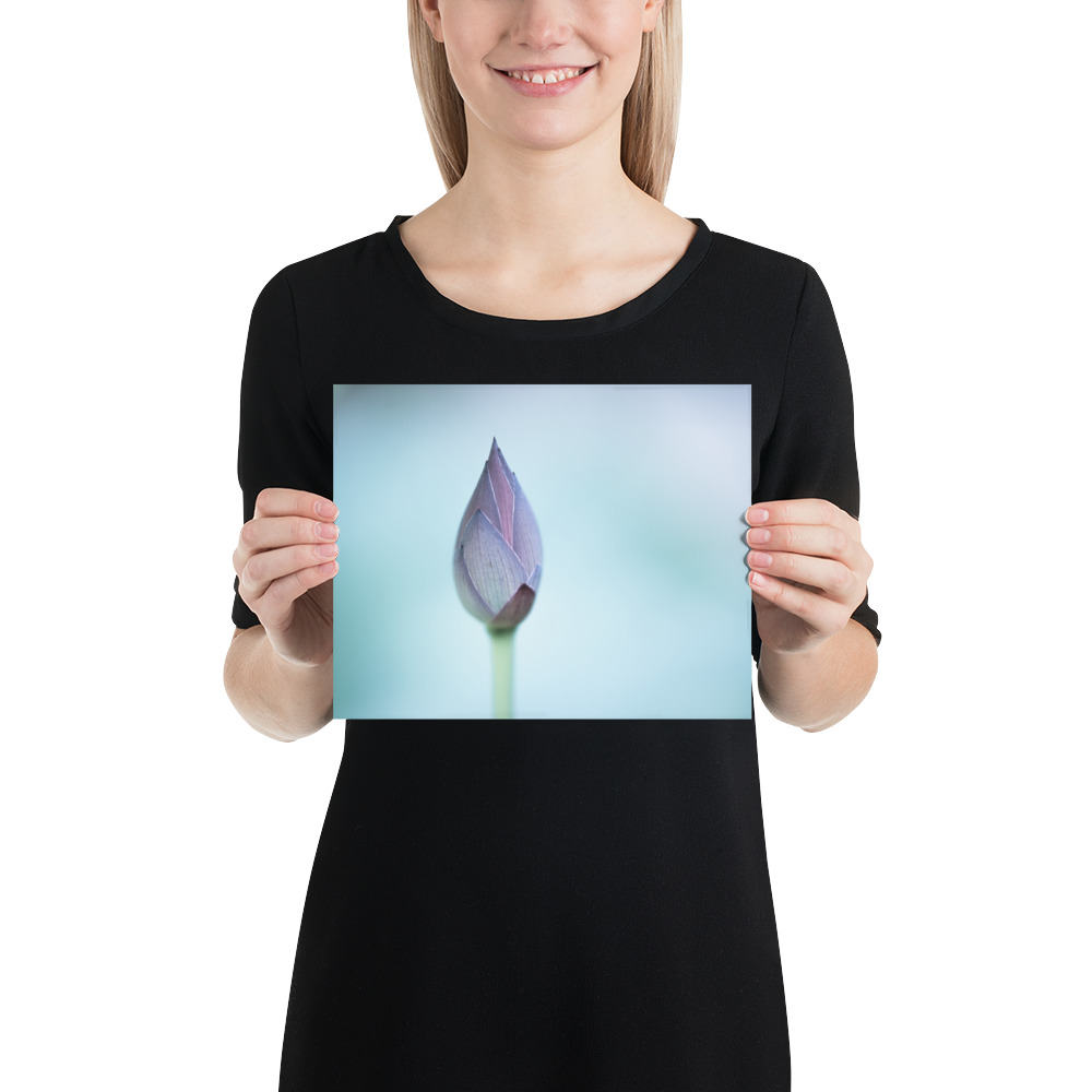 Lotus Bud: Serenity in Blue - 画像 (13)