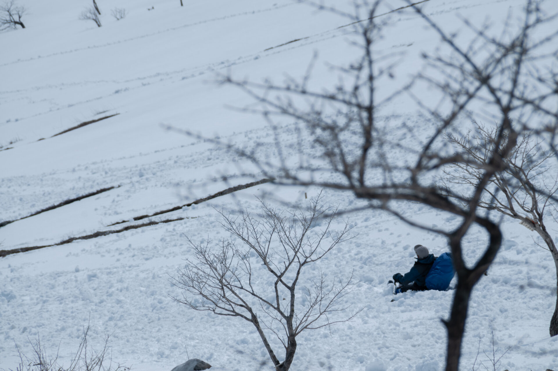 Mount Ibuki（滋賀県　伊吹山）