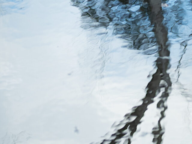 Trees reflected in the pond at Yakushiji Temple