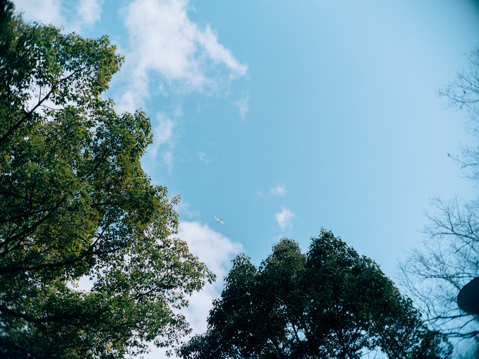 Fujifilm GFX50SⅡ × Minolta MC 50mm 1.7