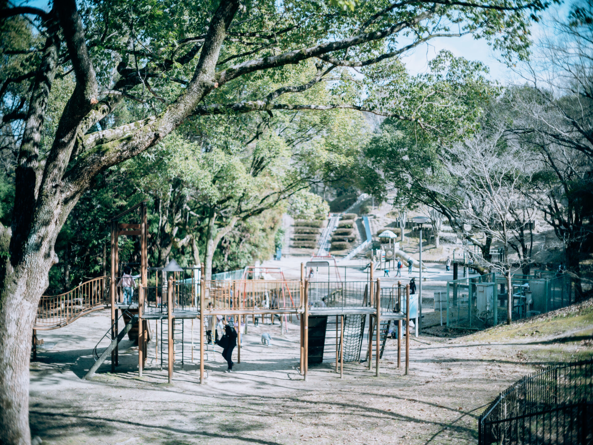 Fujifilm GFX50SⅡ × Minolta MC 50mm 1.7