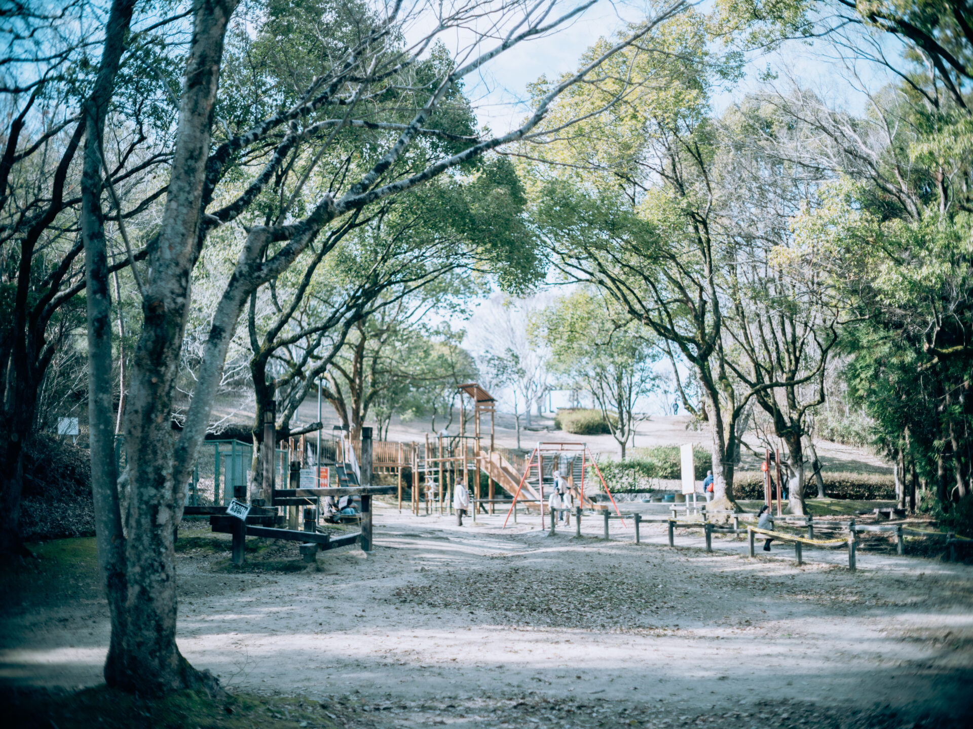 Fujifilm GFX50SⅡ × Minolta MC 50mm 1.7