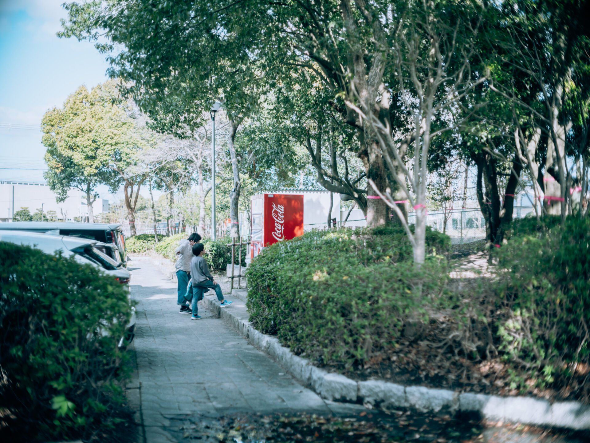 Fujifilm GFX50SⅡ × Minolta MC 50mm 1.7