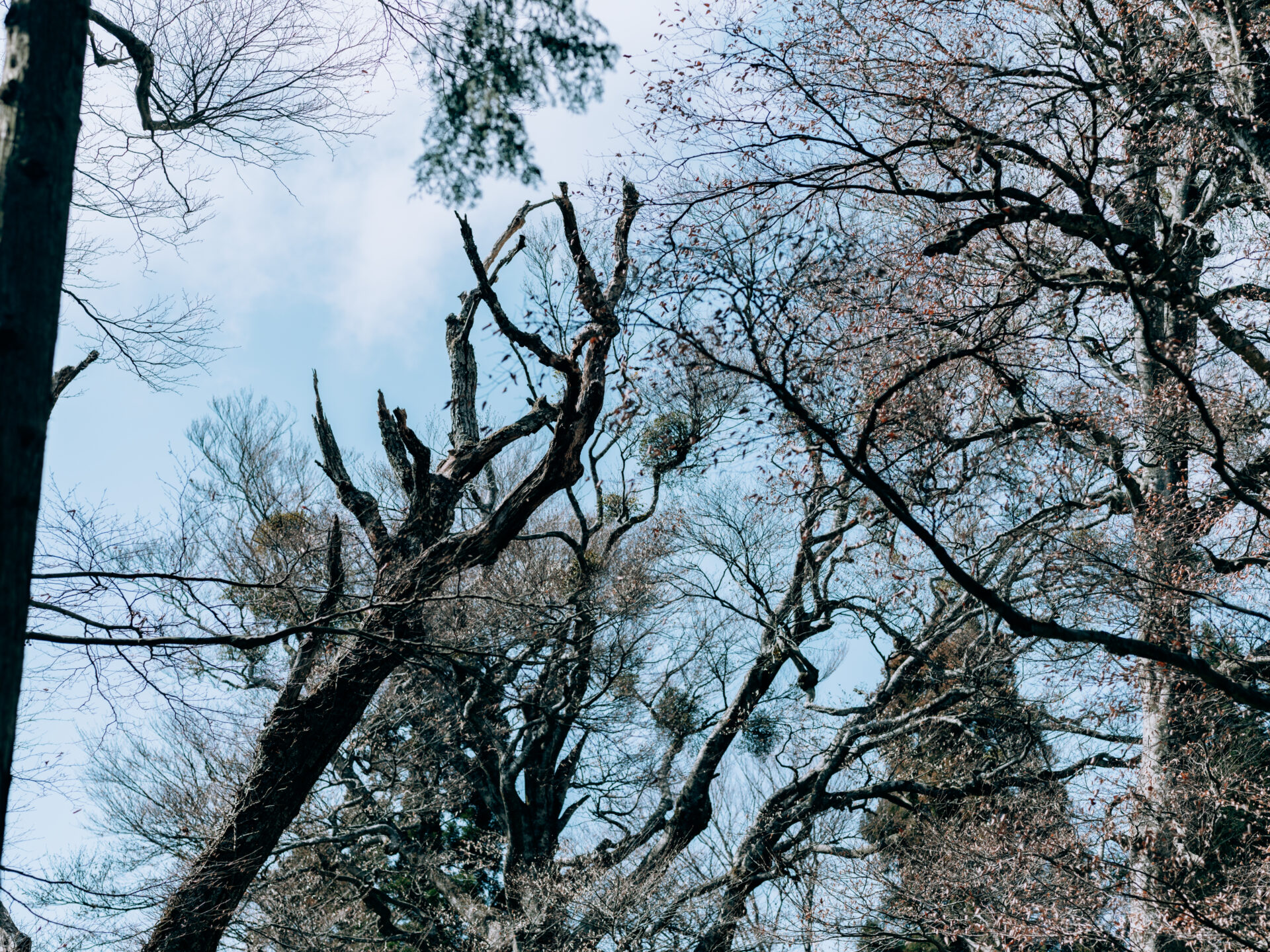 Panoramic view of Mount Katsuragi in Nara, Japan
