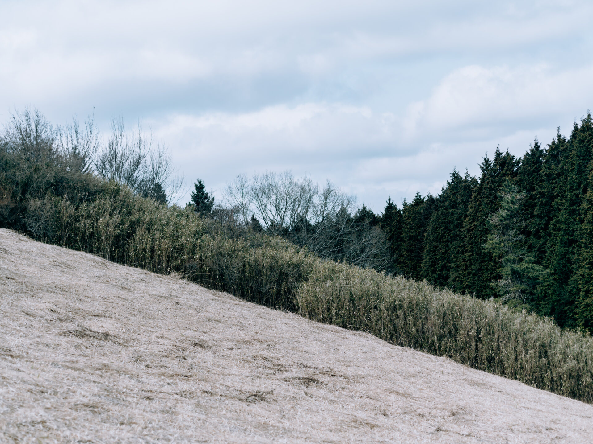 Panoramic view of Mount Katsuragi in Nara, Japan