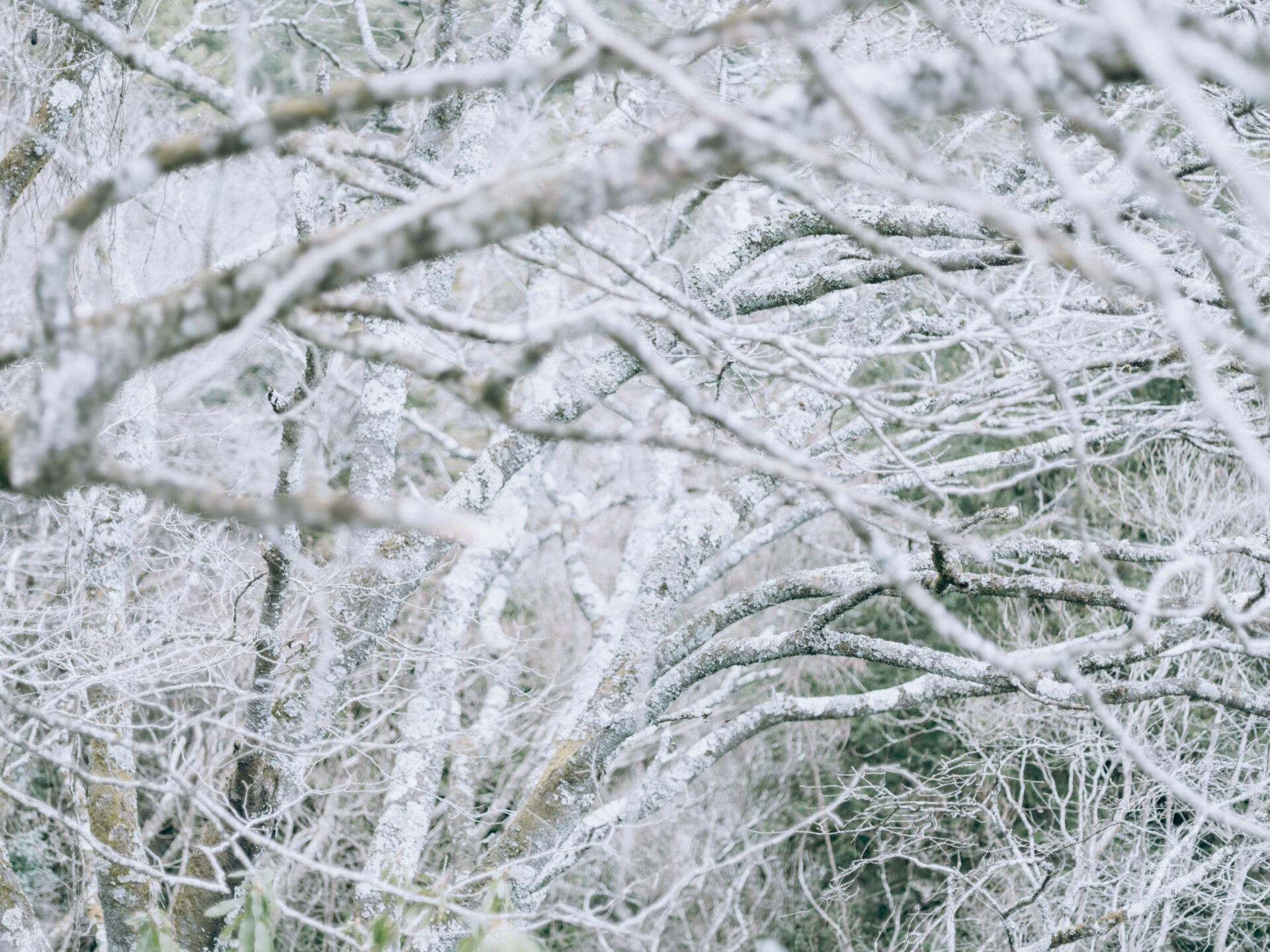 Panoramic view of Mount Katsuragi in Nara, Japan