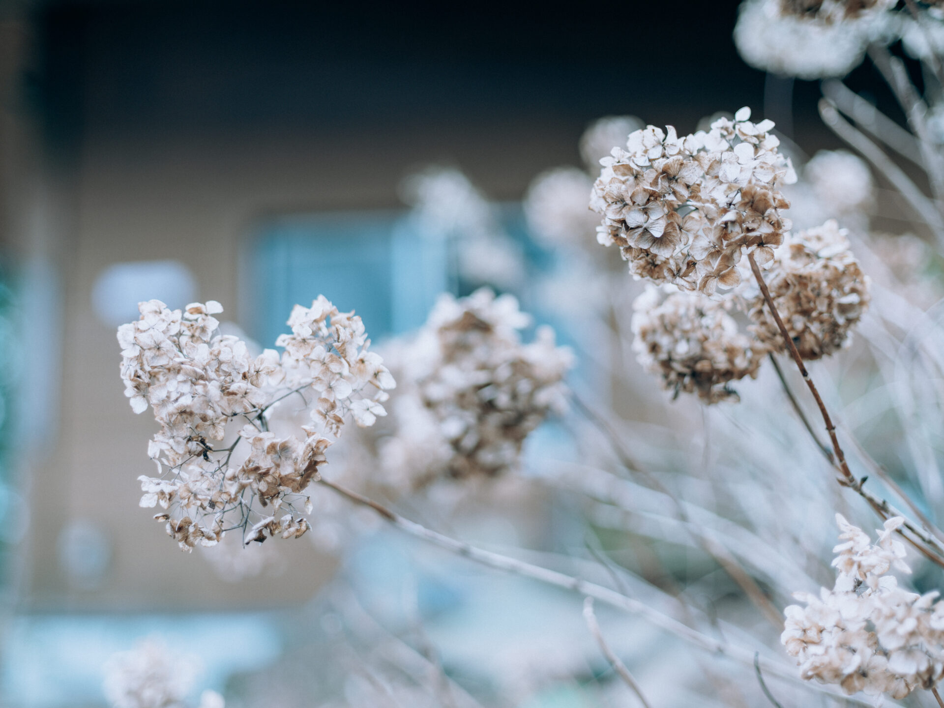 Panoramic view of Mount Katsuragi in Nara, Japan