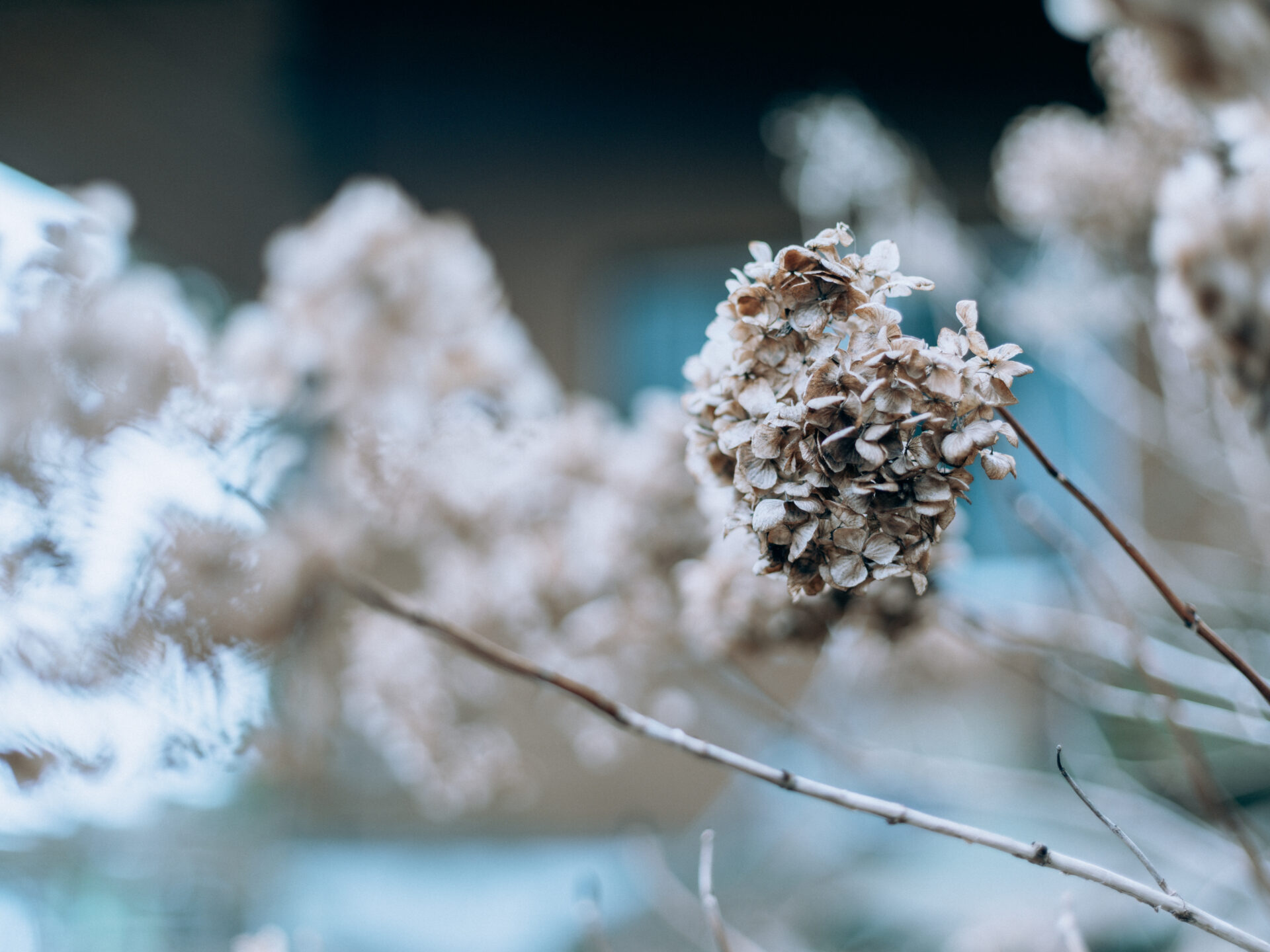 Panoramic view of Mount Katsuragi in Nara, Japan