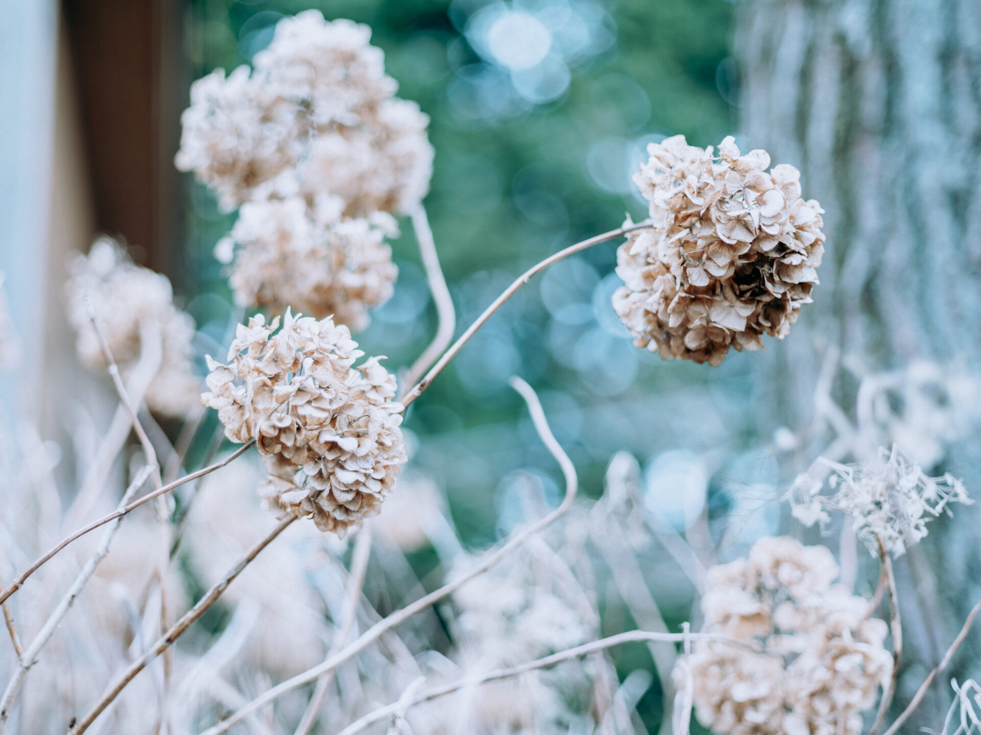 Panoramic view of Mount Katsuragi in Nara, Japan