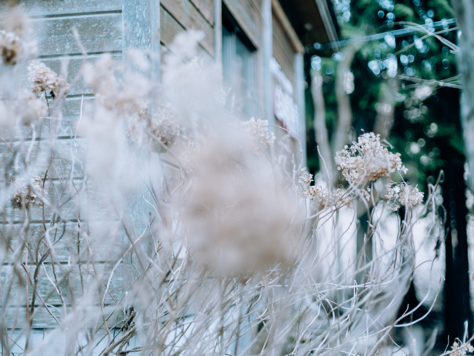 Panoramic view of Mount Katsuragi in Nara, Japan