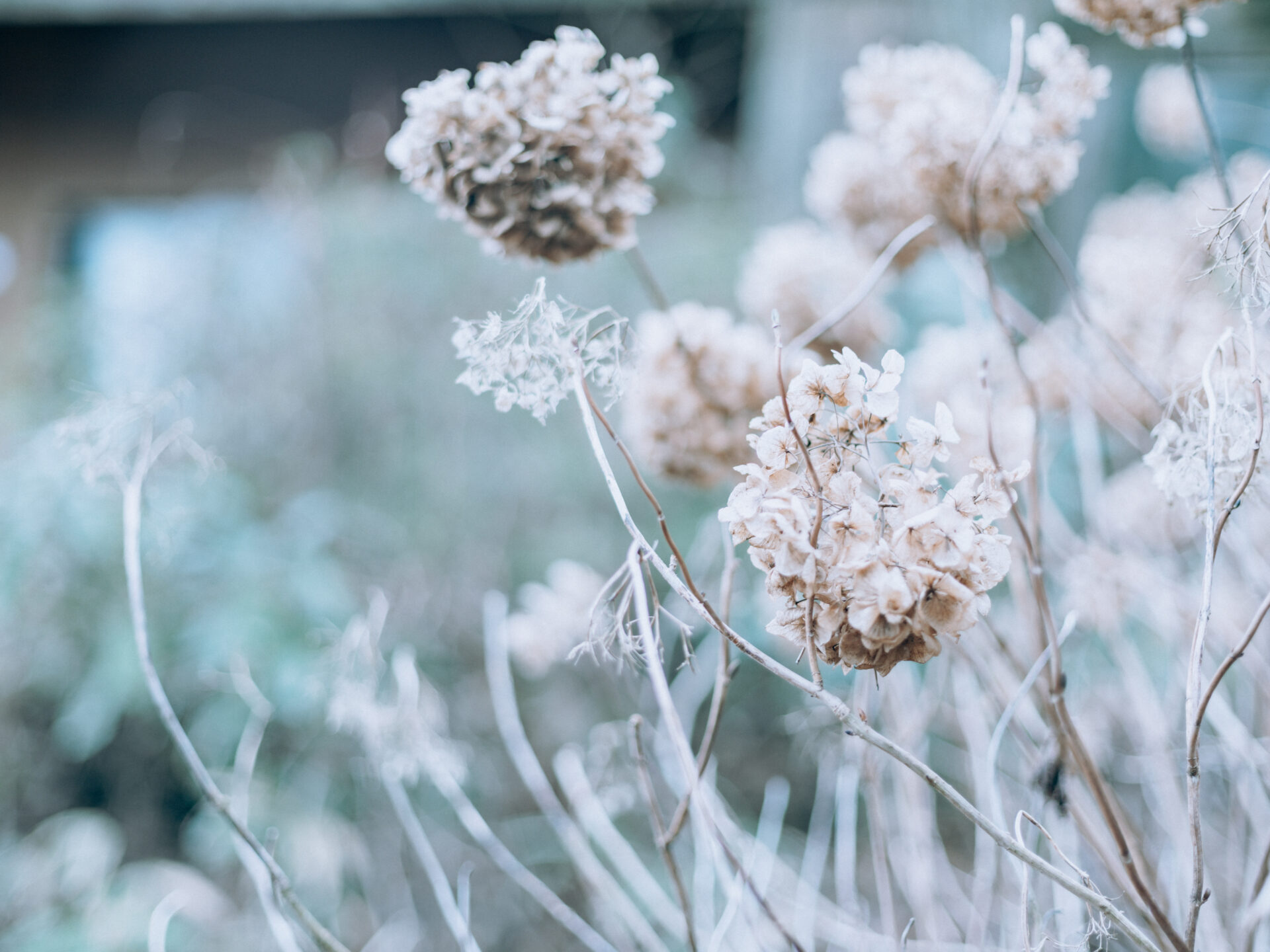 Panoramic view of Mount Katsuragi in Nara, Japan