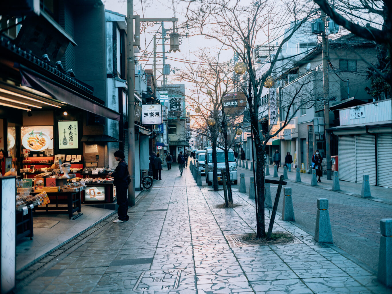 Sarusawa-ike Pond: A Serene Mirror of Kofuku-ji Pagoda, Nara
