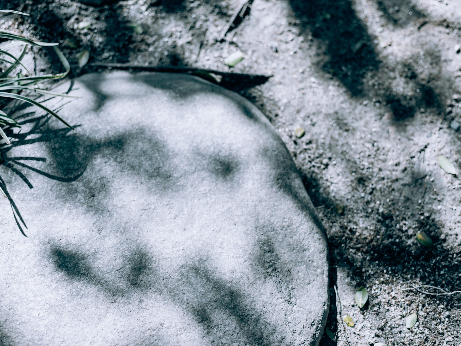 GFX50S II / MAMIYA 80/f1.9 / Nara, Nara-machi, Traditional Japanese House