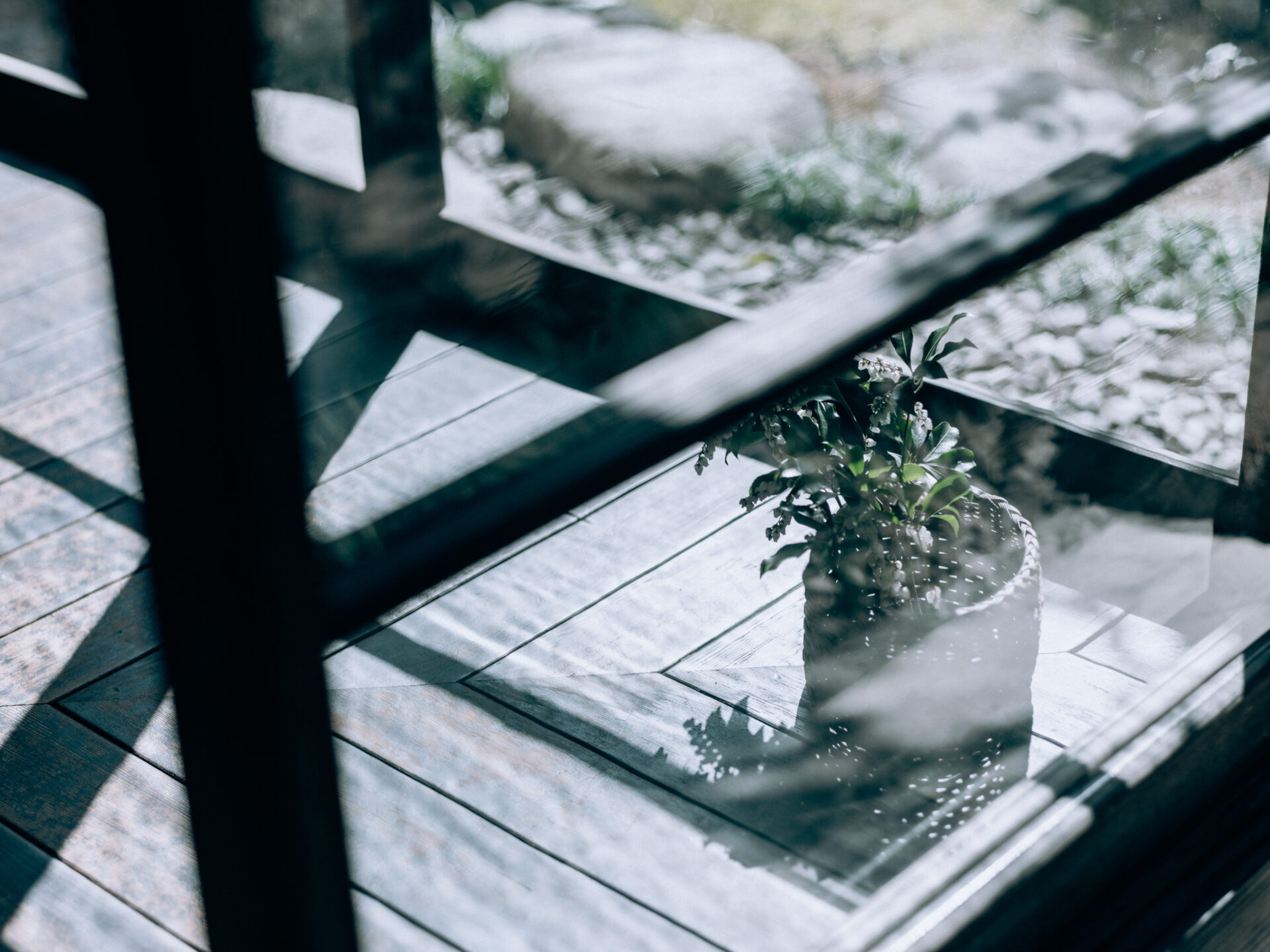 GFX50S II / MAMIYA 80/f1.9 / Flowers, Nara, Nara-machi, Traditional Japanese House