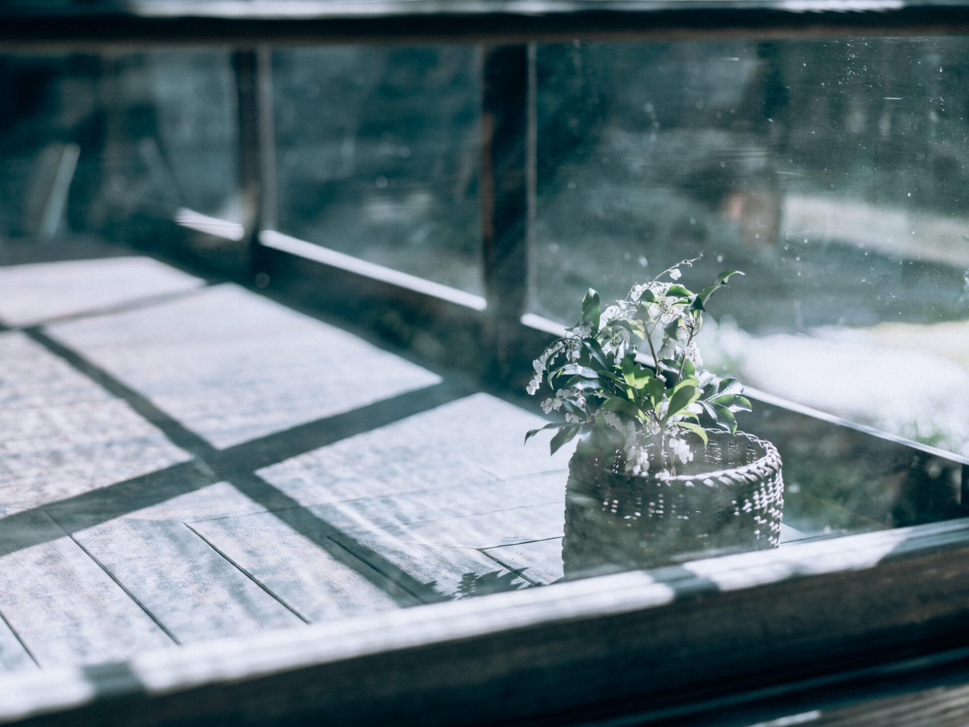 GFX50S II / MAMIYA 80/f1.9 / Flowers, Nara, Nara-machi, Traditional Japanese House