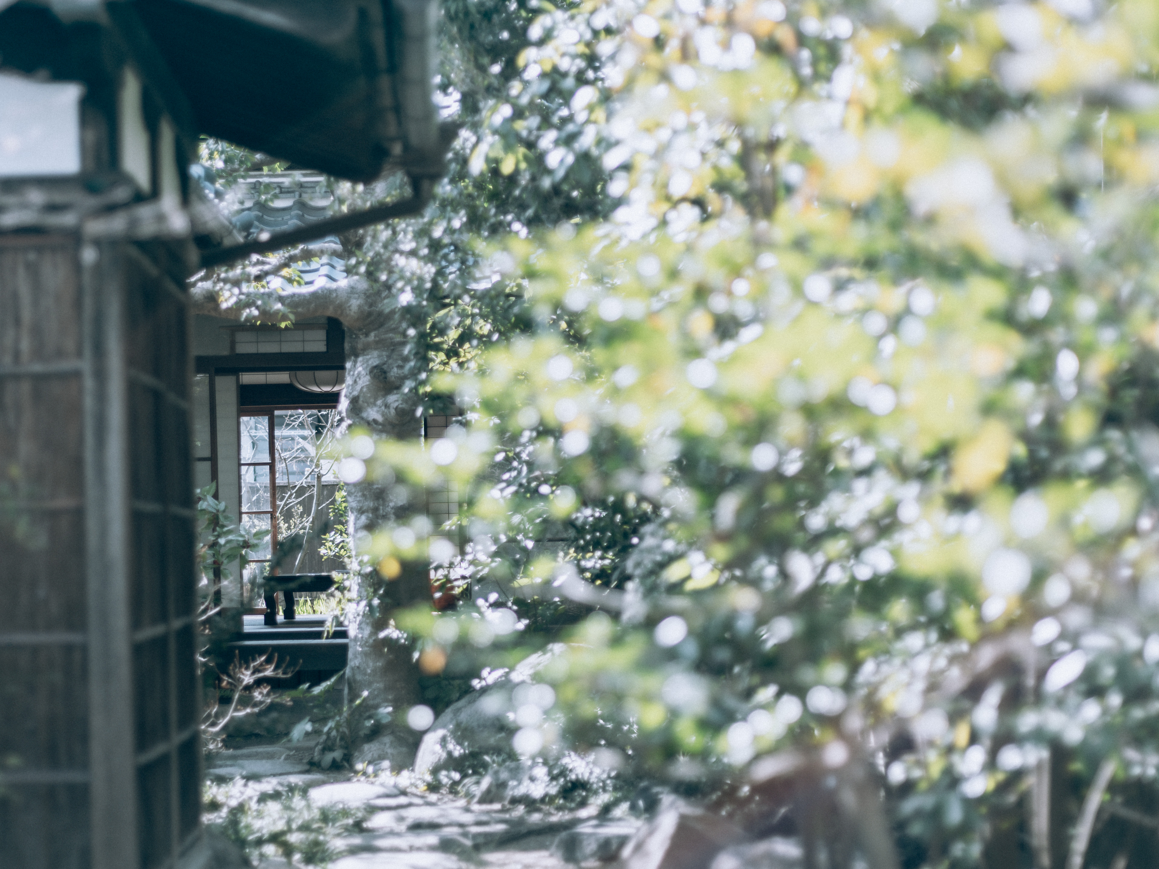 GFX50S II / MAMIYA 80/f1.9 / Nara, Nara-machi, Traditional Japanese House