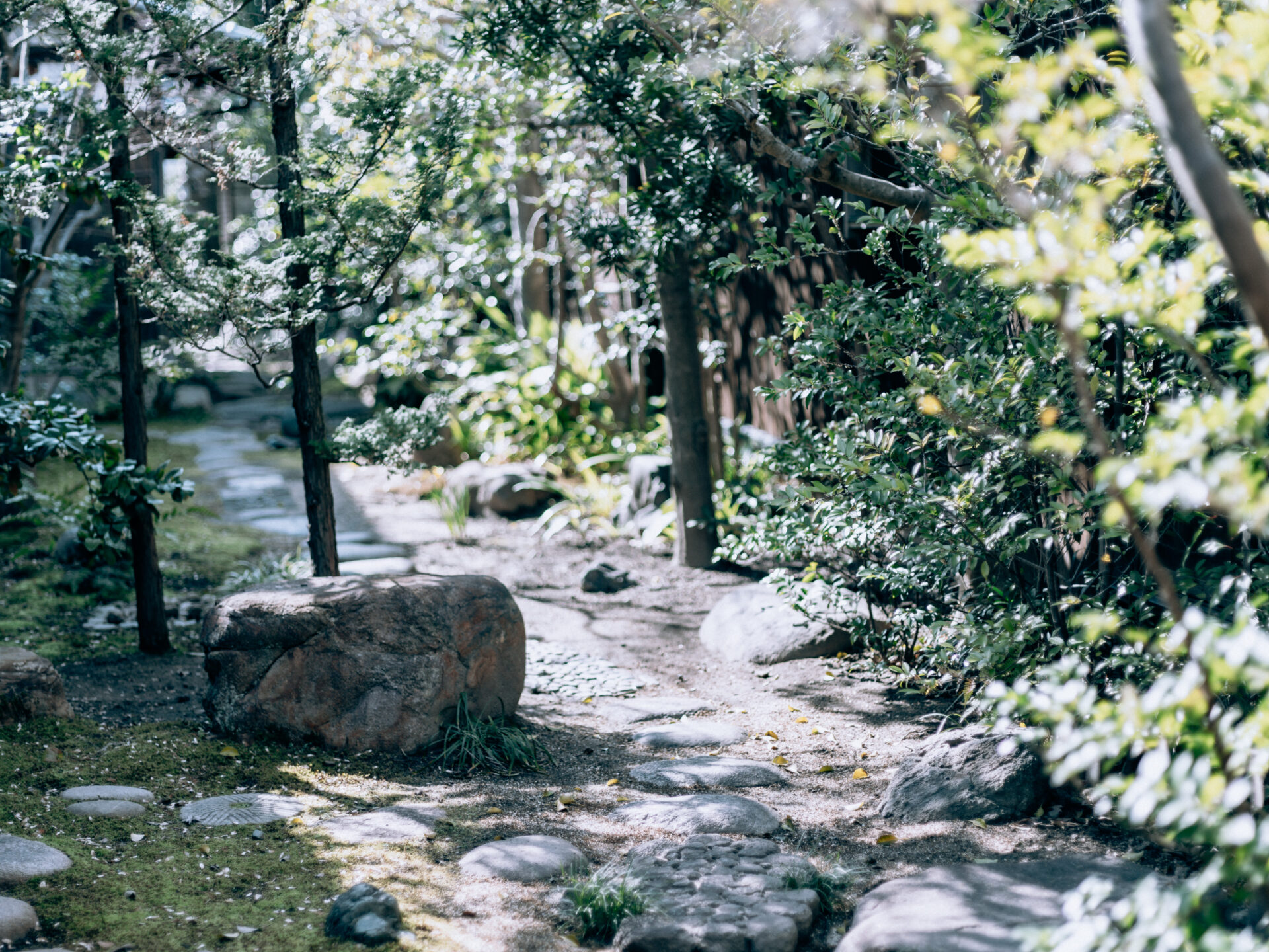 GFX50S II / MAMIYA 80/f1.9 / Nara, Nara-machi, Traditional Japanese House