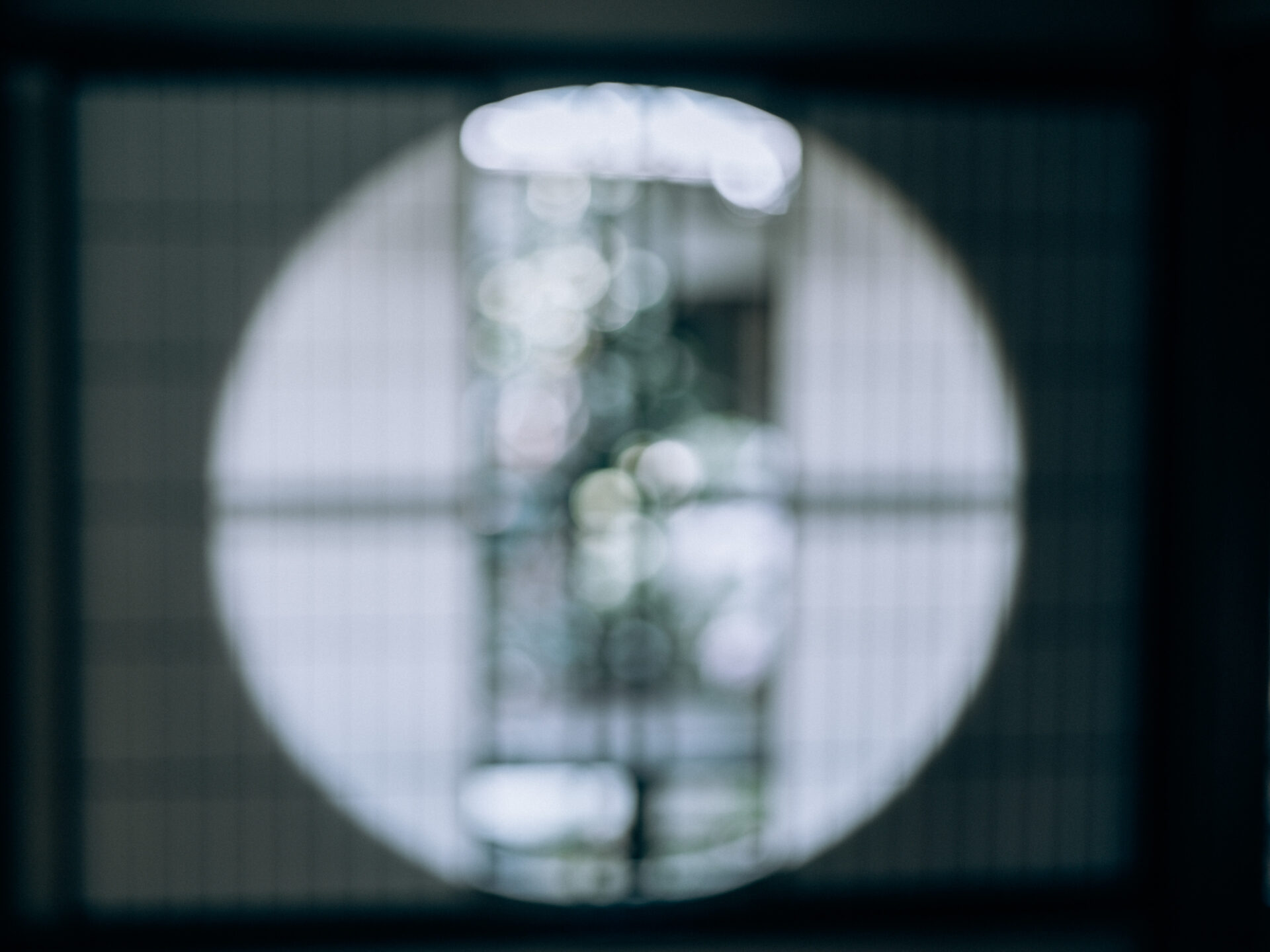 GFX50S II / MAMIYA 80/f1.9 / Nara, Nara-machi, Traditional Japanese House