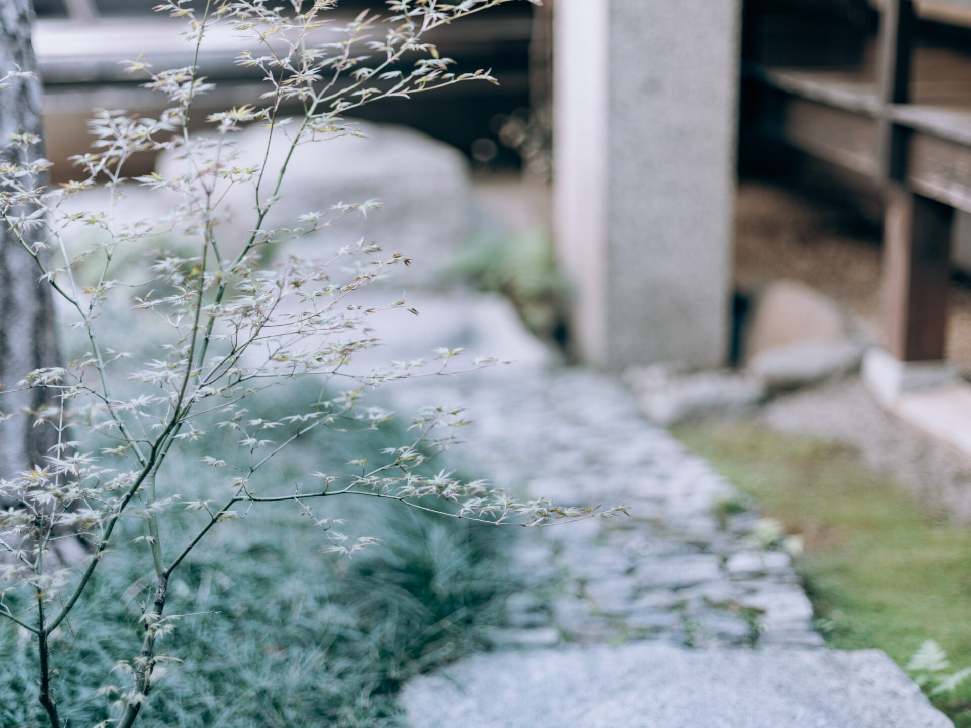 GFX50S II / MAMIYA 80/f1.9 / Nara, Nara-machi, Traditional Japanese House