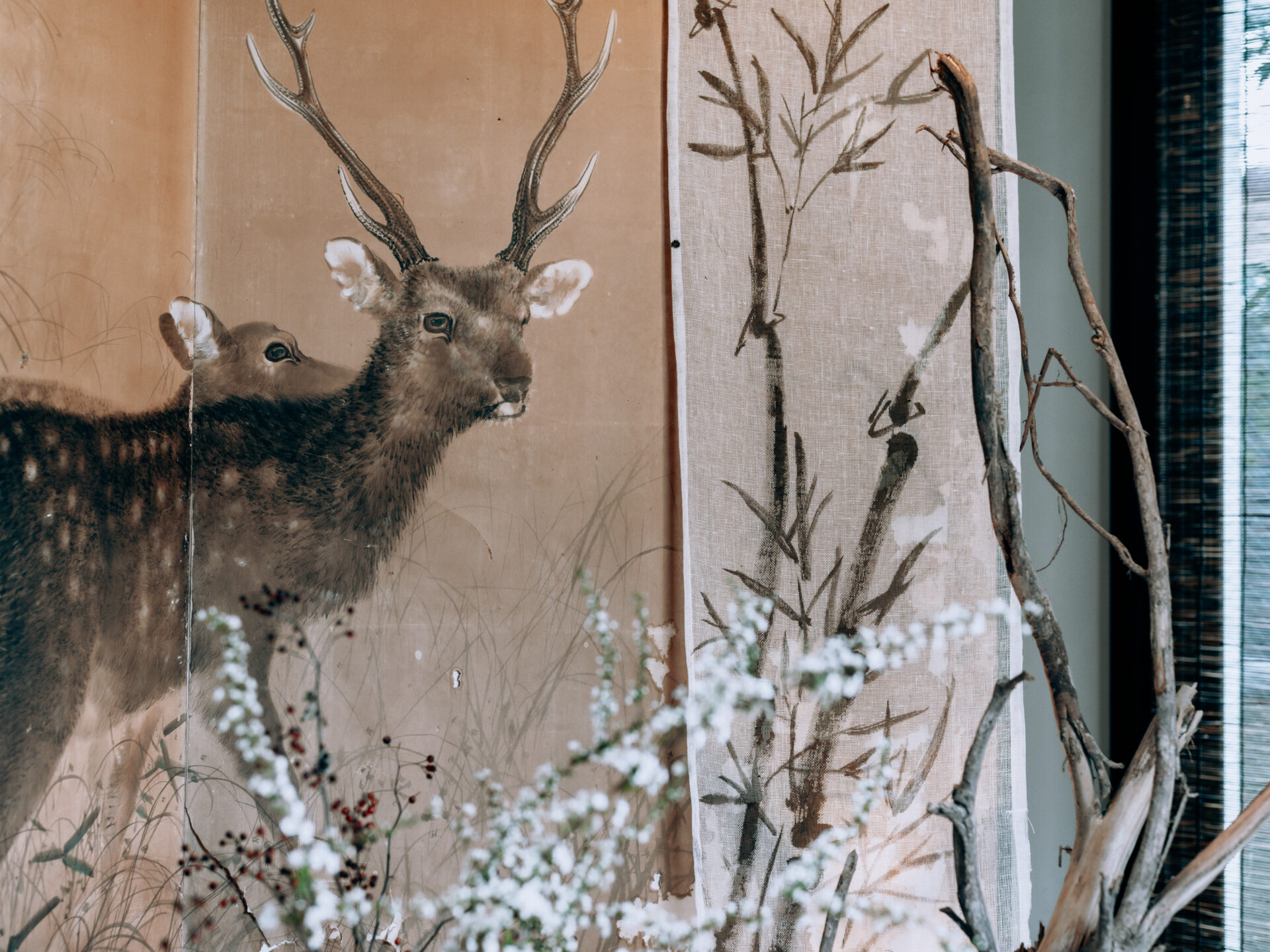 GFX50S II / MAMIYA 80/f1.9 / Japanese Style Painting, Nara, Nara-machi, Traditional Japanese House