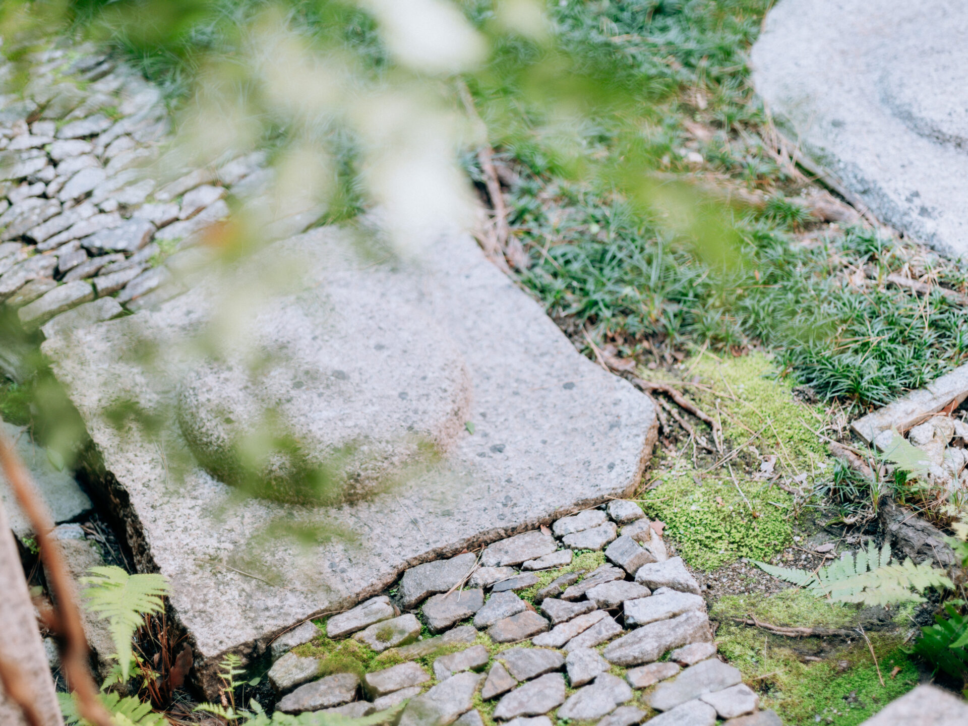 GFX50S II / MAMIYA 80/f1.9 / Nara, Nara-machi, Traditional Japanese House
