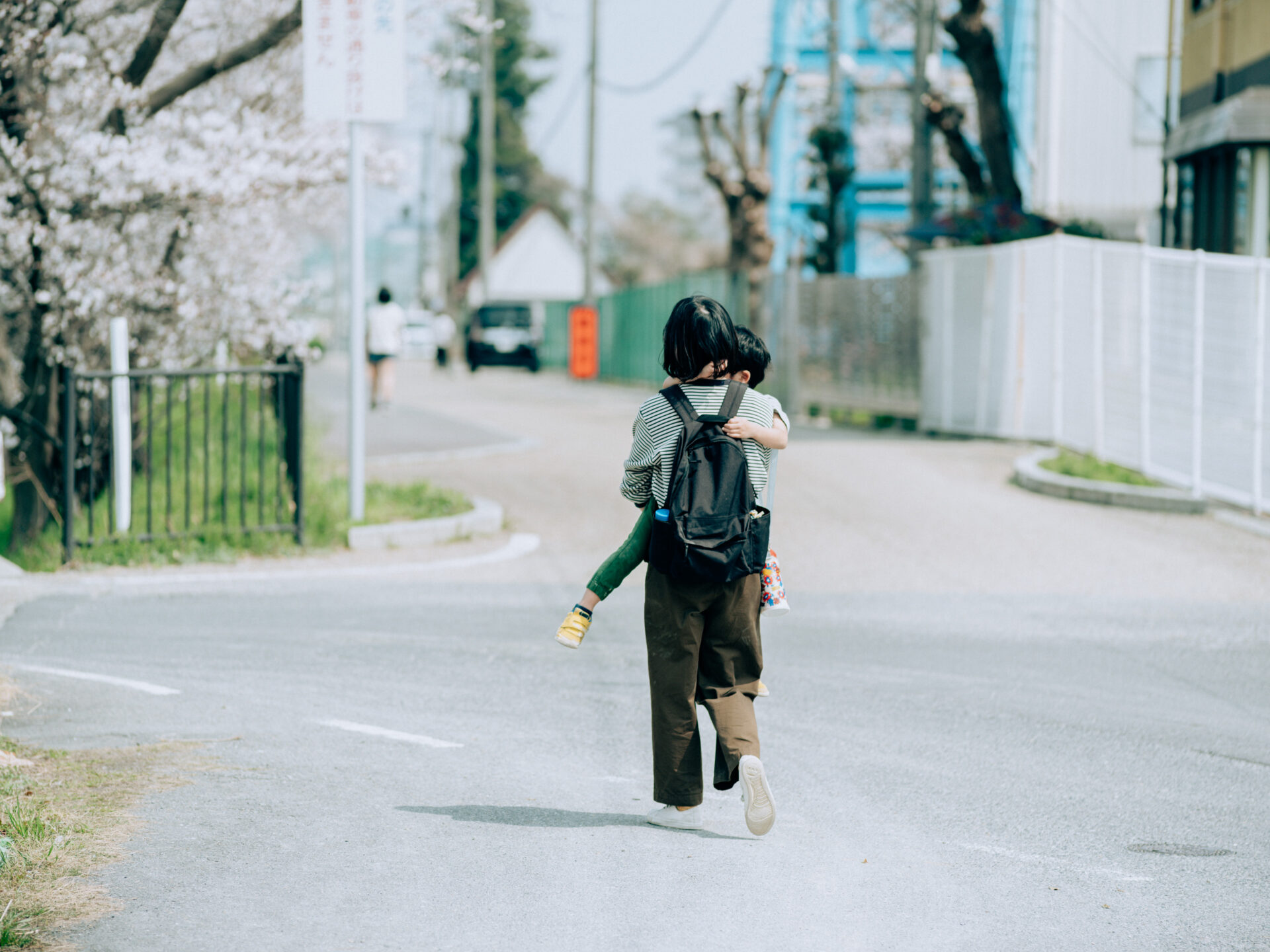 GFX50S II / NIKKOR 180/f2.8 / Botanical, Cherry-blossom, Flowers, Landscape, Spring
