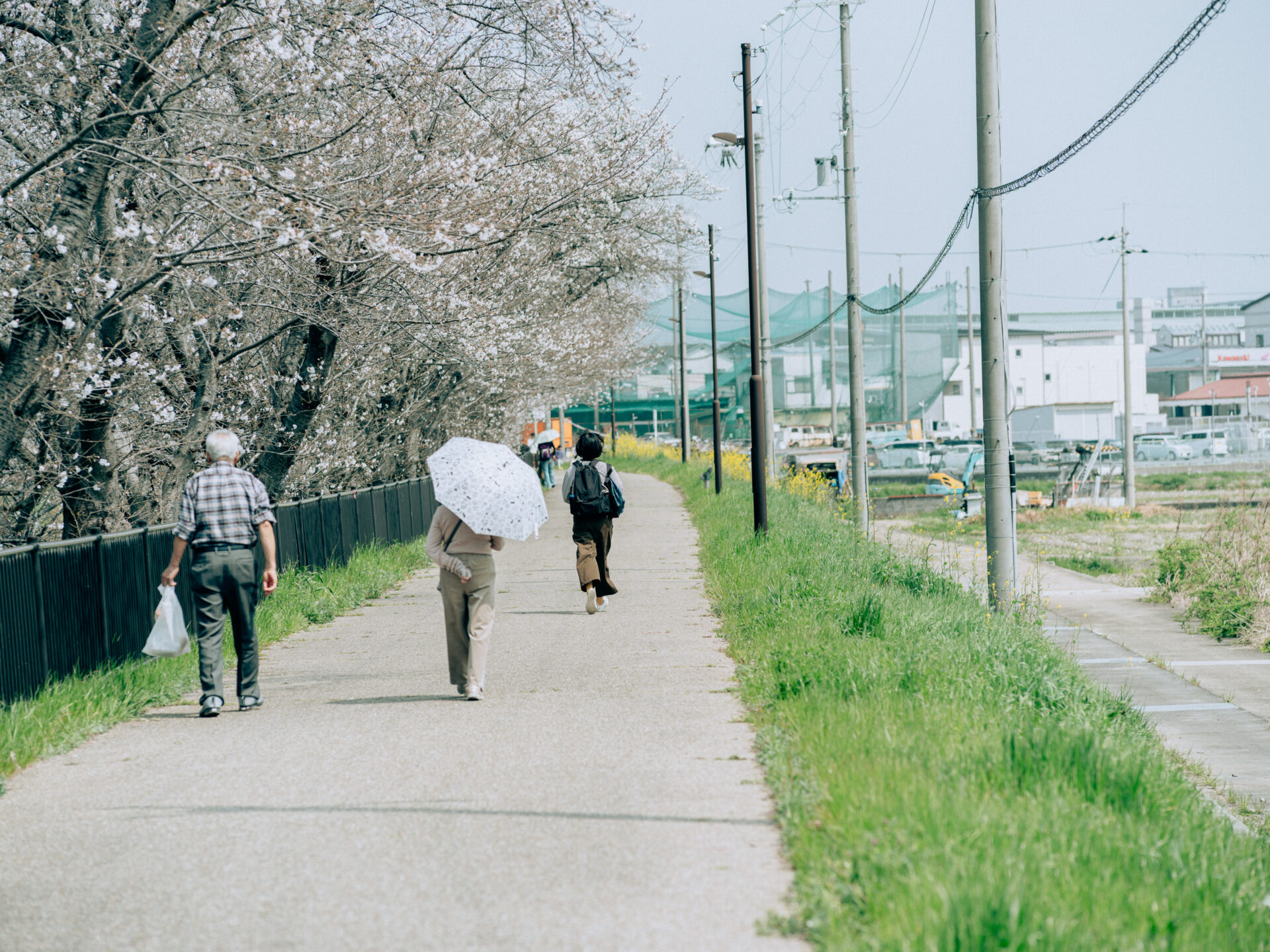 GFX50S II / NIKKOR 180/f2.8 / Botanical, Cherry-blossom, Flowers, Landscape, Spring