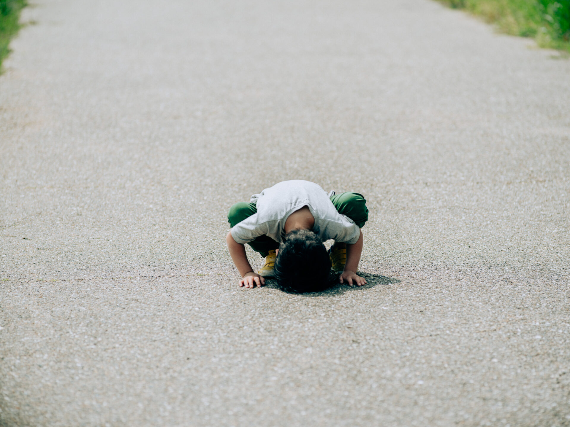 GFX50S II / NIKKOR 180/f2.8 / Botanical, Cherry-blossom, Flowers, Landscape, Spring