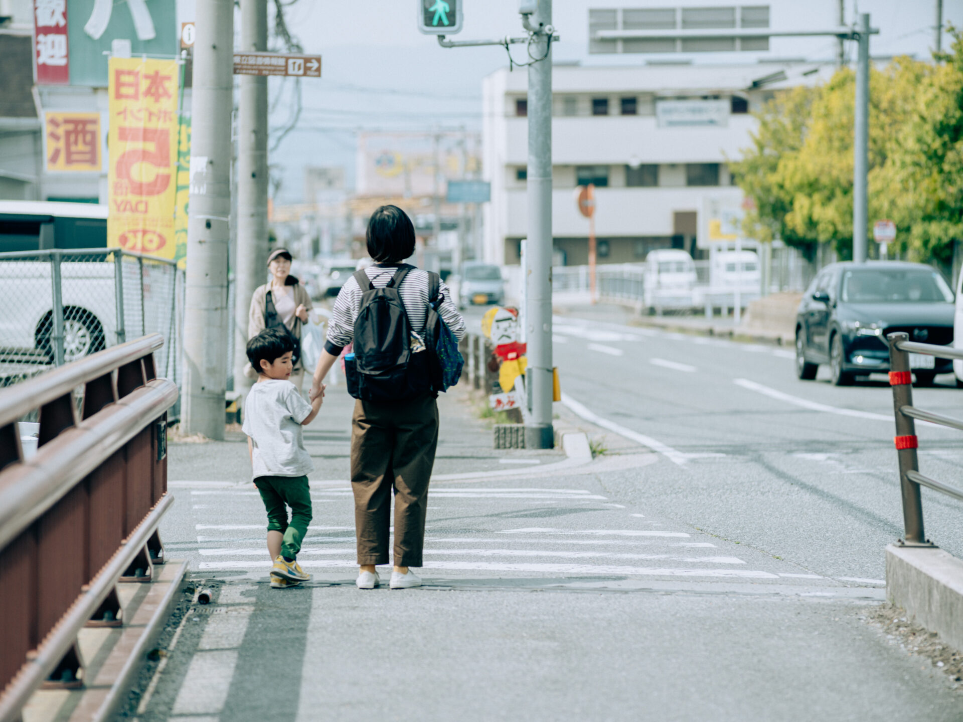 GFX50S II / NIKKOR 180/f2.8 / Botanical, Cherry-blossom, Flowers, Landscape, Spring