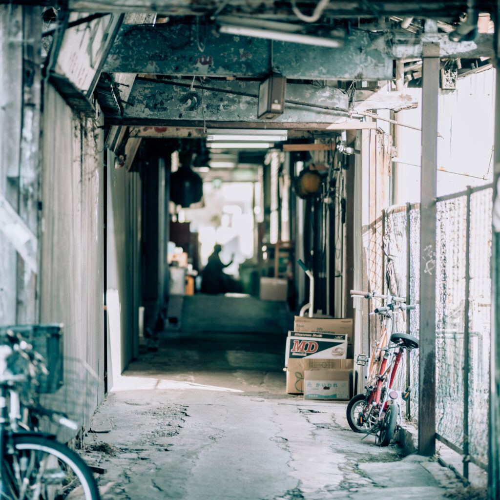 GFX50S II / MAMIYA 45 /