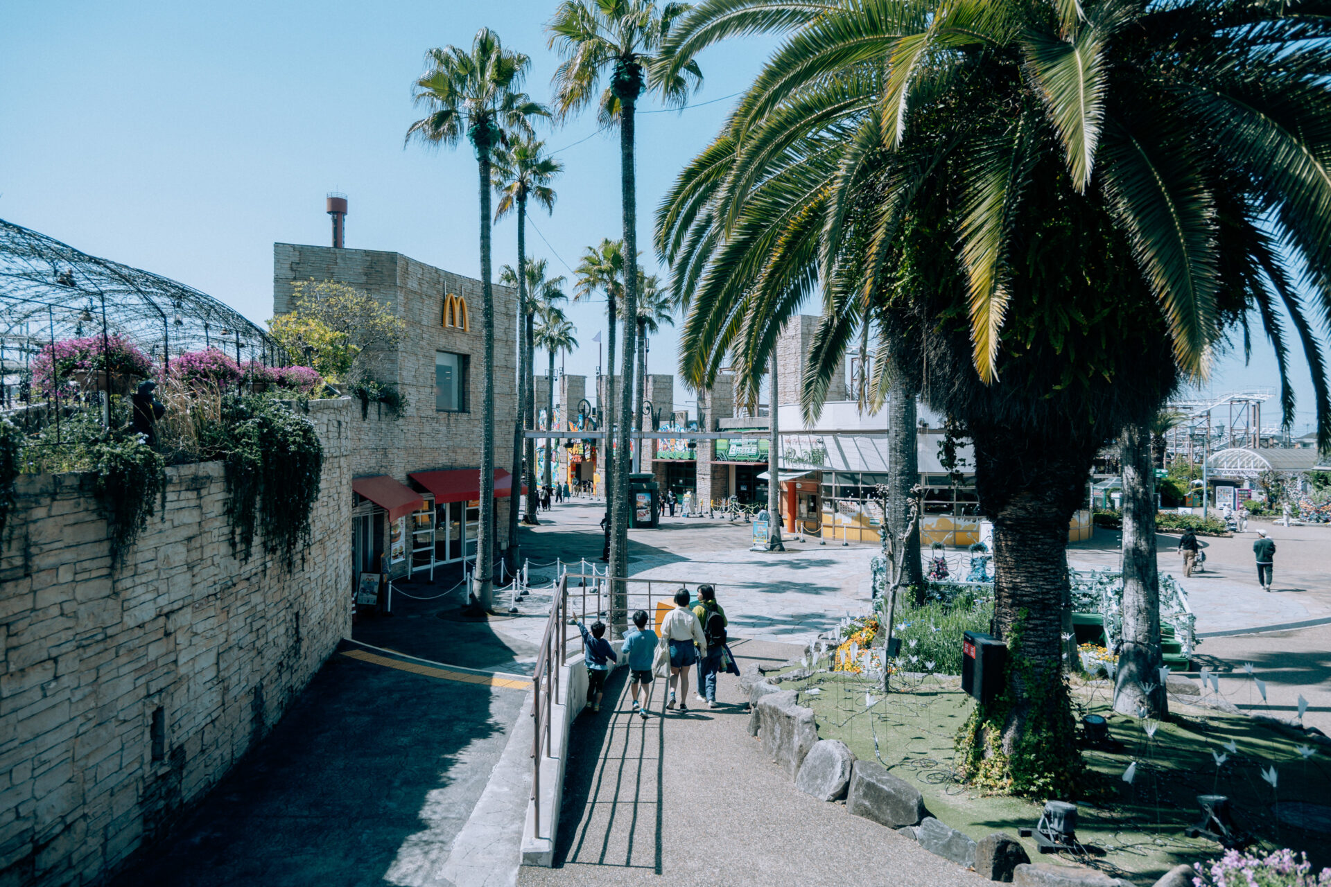 NIKON Z fc / NIKKOR Z DX 16-50mm f/3.5-6.3 VR / Amusement park