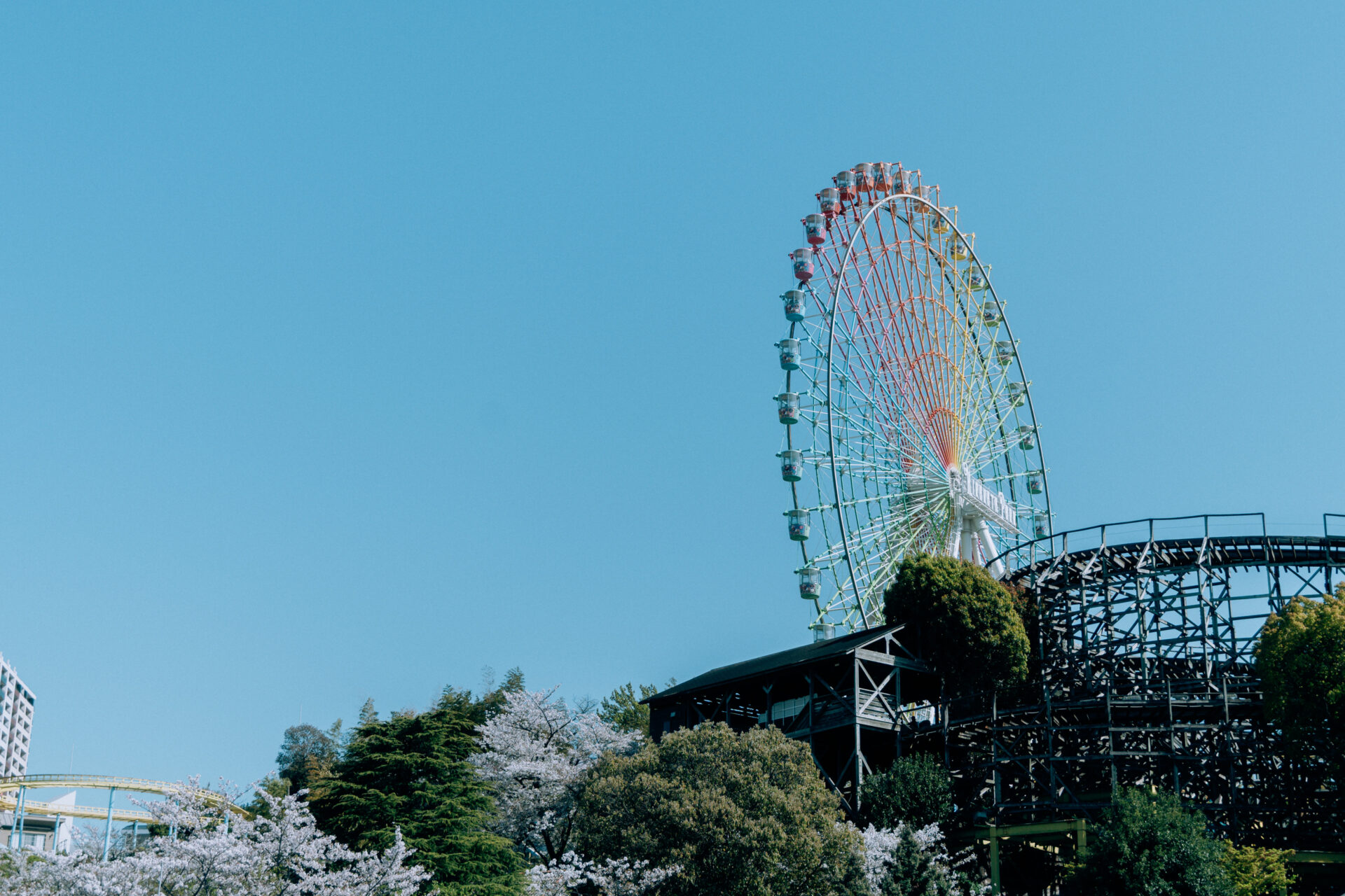 NIKON Z fc / NIKKOR Z DX 16-50mm f/3.5-6.3 VR / Amusement park