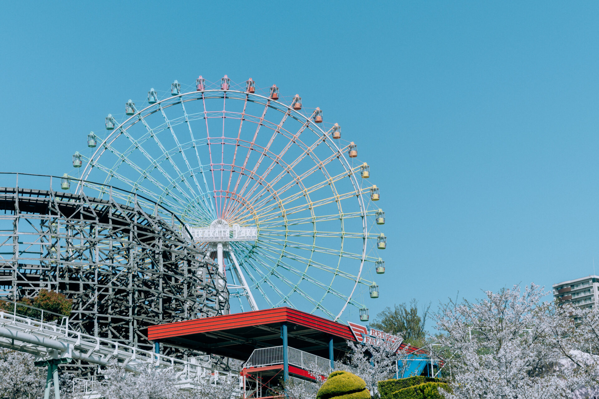 NIKON Z fc / NIKKOR Z DX 16-50mm f/3.5-6.3 VR / Amusement park