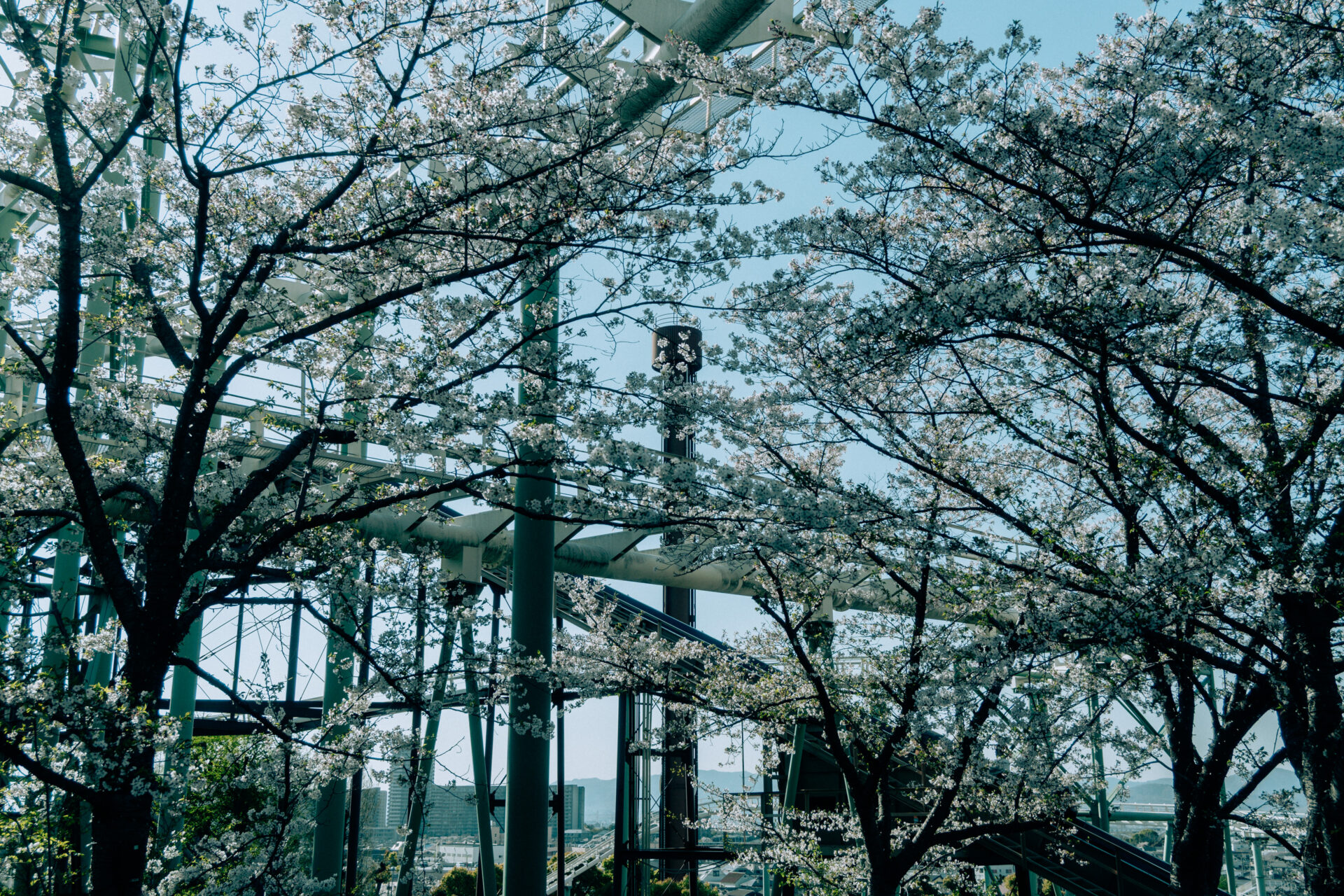 NIKON Z fc / NIKKOR Z DX 16-50mm f/3.5-6.3 VR / Amusement park