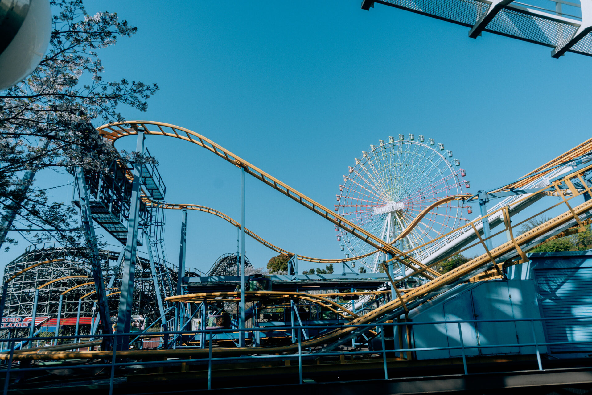 NIKON Z fc / NIKKOR Z DX 16-50mm f/3.5-6.3 VR / Amusement park