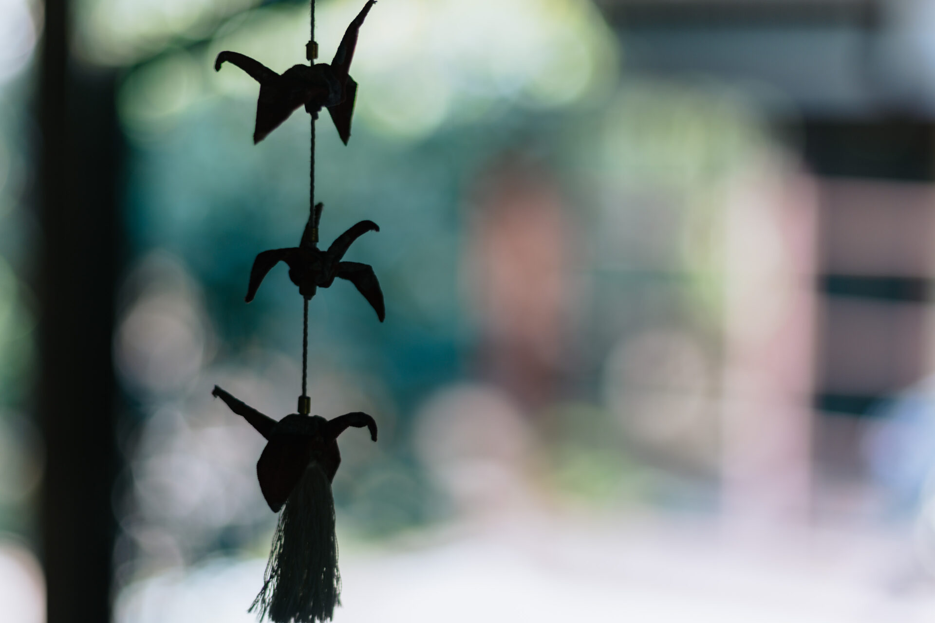 NIKON Z 7 / 0.0 mm f/0.0 / Flowers, Nara-machi, Traditional Japanese House