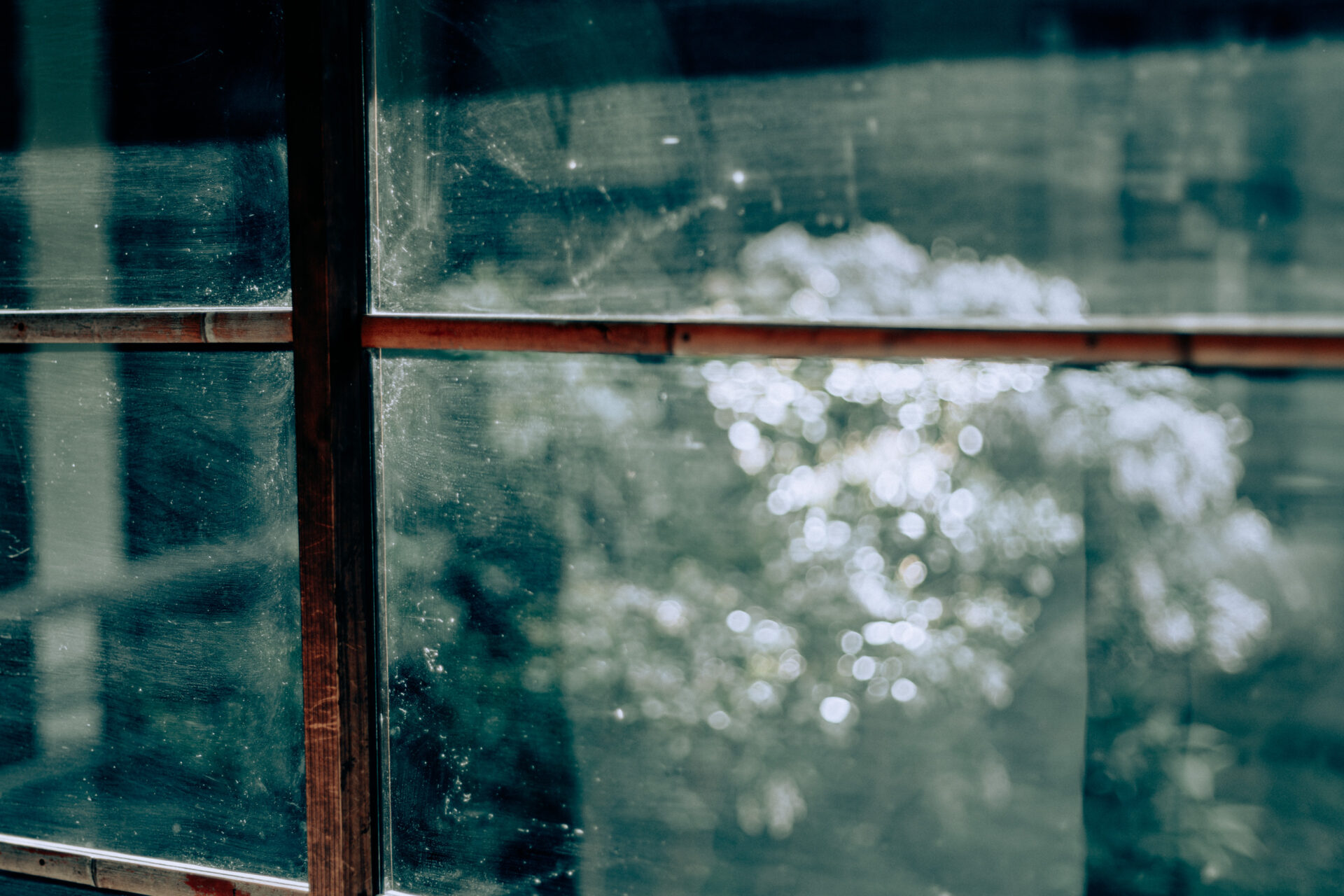 NIKON Z 7 / 0.0 mm f/0.0 / Flowers, Nara-machi, Traditional Japanese House